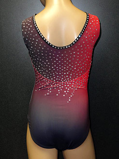 Sleeveless Zone ombre shaded gymnastic leotard featuring a sparkly diamente design on the front and back - back.