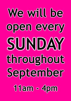 Dancers Boutique will be opening on Sundays from 11am - 4pm during September.