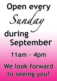 We have full stocks of shoes, uniform and dancewear for your classes and courses and can't wait to see you at Dancers Boutique for the start of the new September 2024 term.